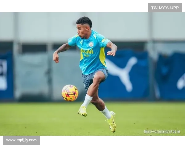 全方位探析英超停摆多重成因及其未来发展趋势的深度前瞻研究分析