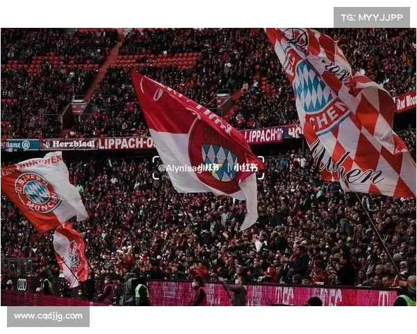 拜仁慕尼黑主场安联球场全面解析：历史、设施与球迷文化揭秘